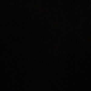 Meet your Posher, Ella